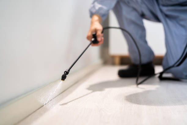 Licensed Cockroach Control service in Anna, IL - Nex Pest Control