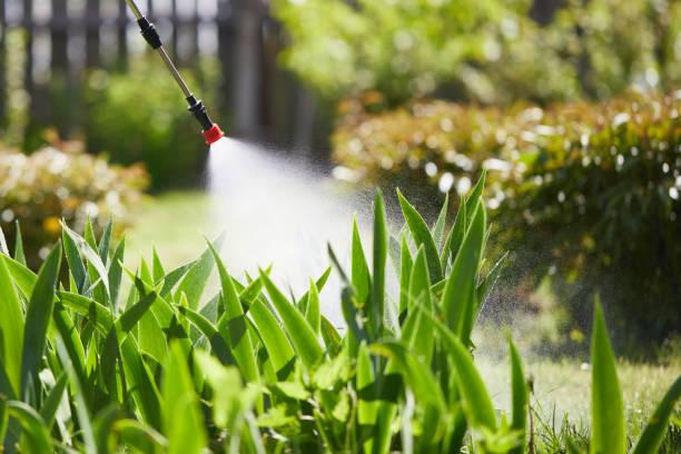 24/7 Emergency Cockroach Control experts in Anna, IL