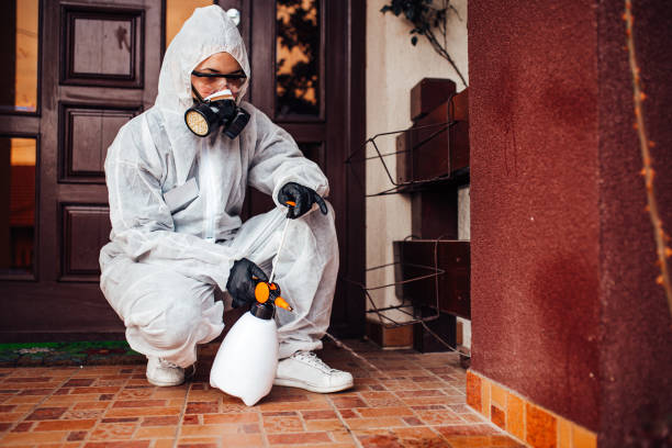 Reliable Cockroach Control contractor in Anna, IL by Nex Pest Control