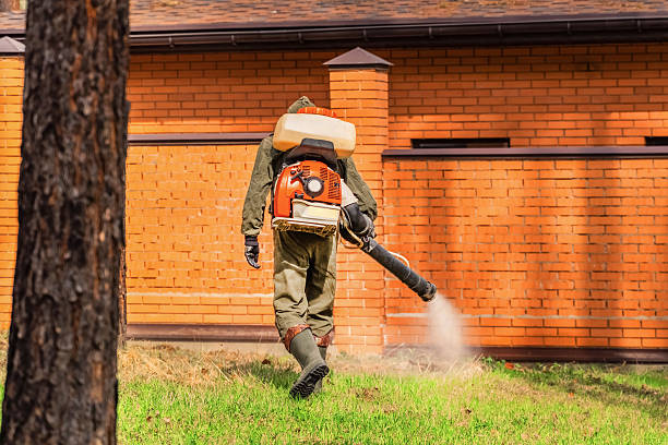 Trusted Rodent Control service in Anna, IL - Nex Pest Control